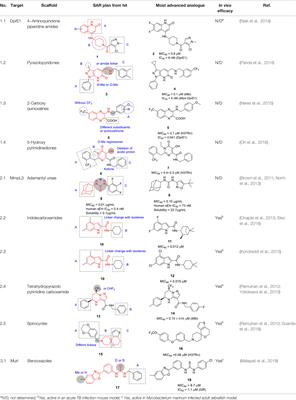 Tuberculosis Drug Discovery: A Decade of Hit Assessment for Defined Targets